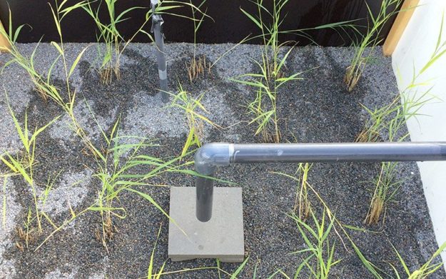 filtres-plantes-combines-filtran-g