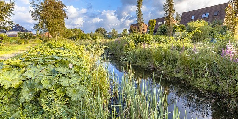 systemes-gestion-durable-eaux-pluviales-g