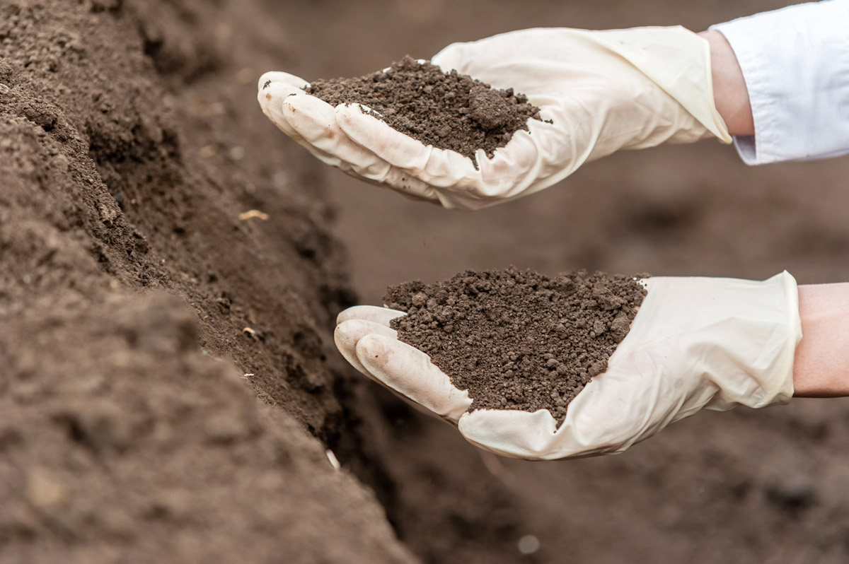 Deux mains gantées de blanc manipulent de la terre foncée et grumeleuse, prélevée dans un tas de substrat, dans le cadre d'une analyse de sol.