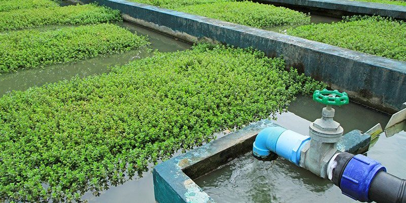 traitement-eaux-usees-g