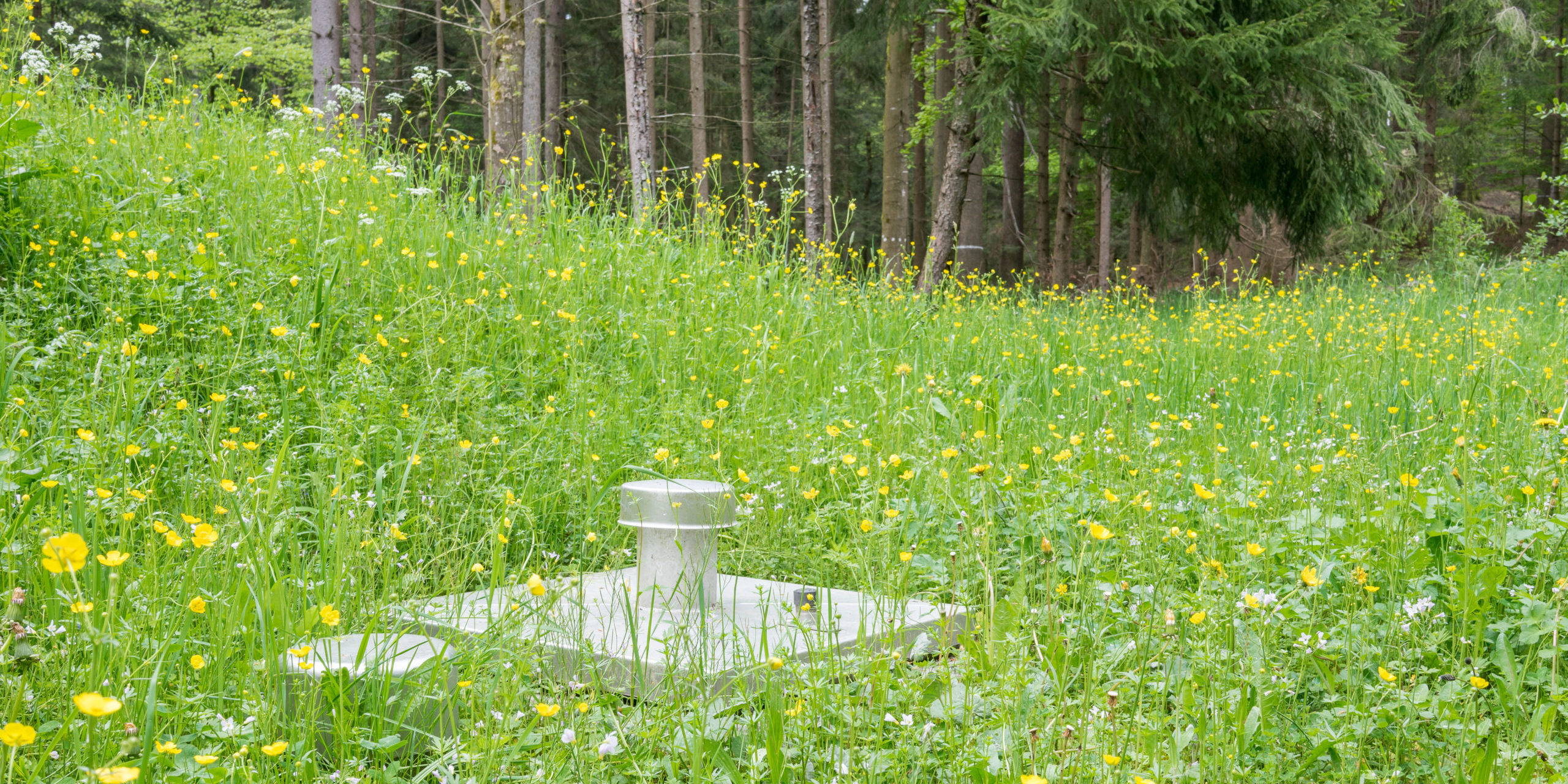 Naturem Solutions_naturebasedsolutions-watermanagement