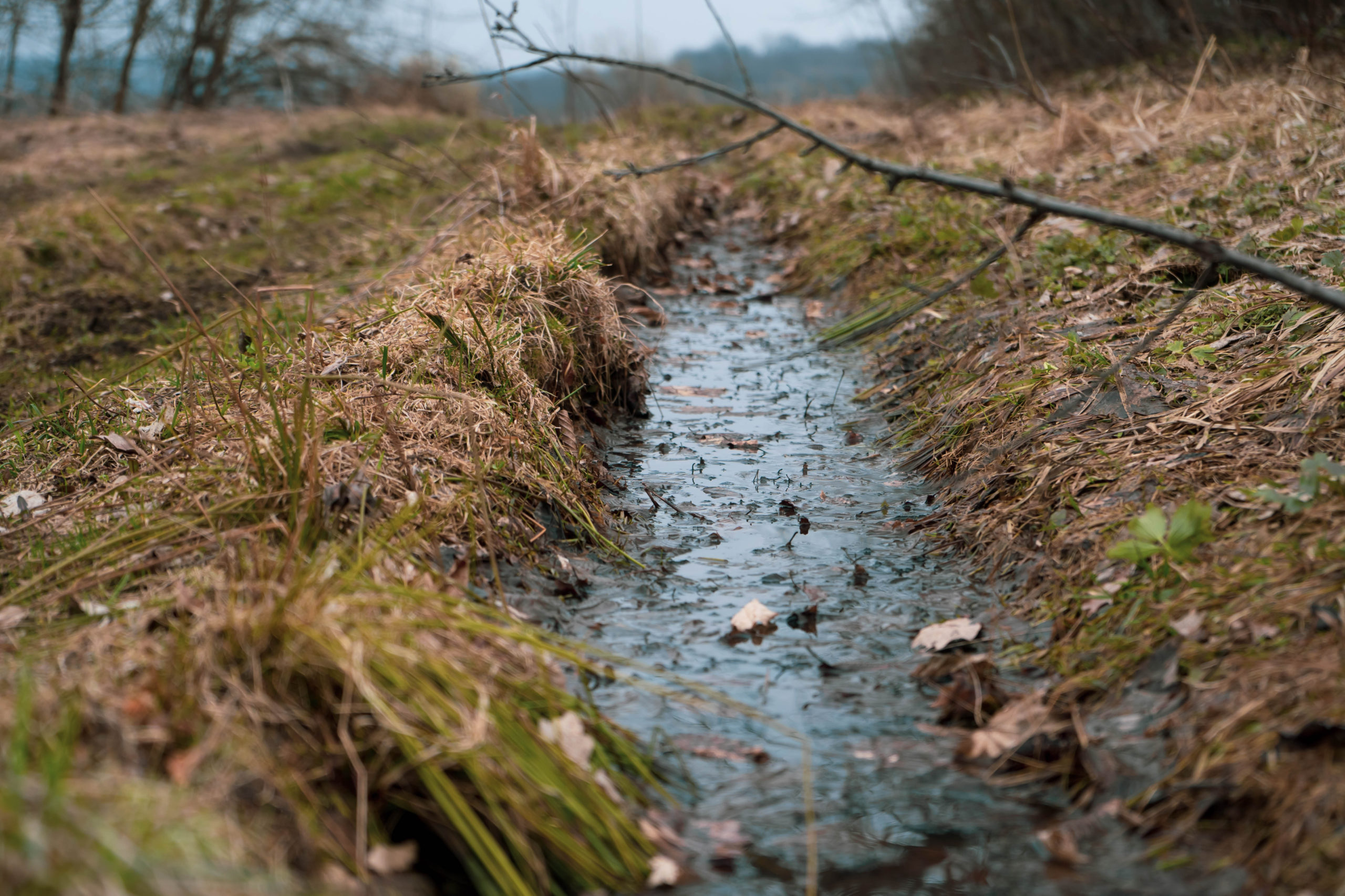 Naturem Solutions_Gestion des eaux de ruissellement Petit cours d'eau serpentant entre des berges enherbées et sèches, bordé d'arbres nus, illustrant la gestion des eaux de ruissellement en milieu naturel.