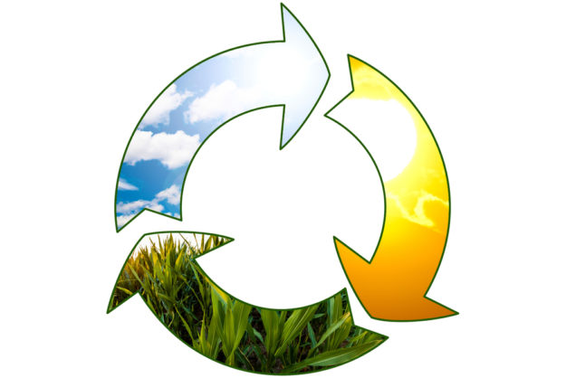 Vegetable,Food,Production,-,Green,Renewable,Sustainable,Economy,-,Water